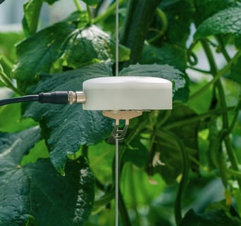 detail solar chimney cucumber