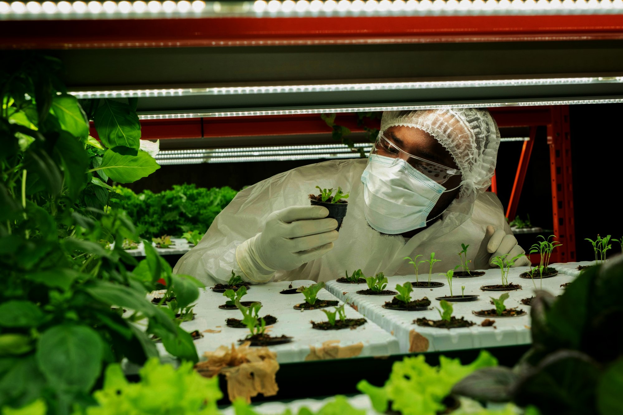 getty-images-1OxeF_7aoj8-unsplash