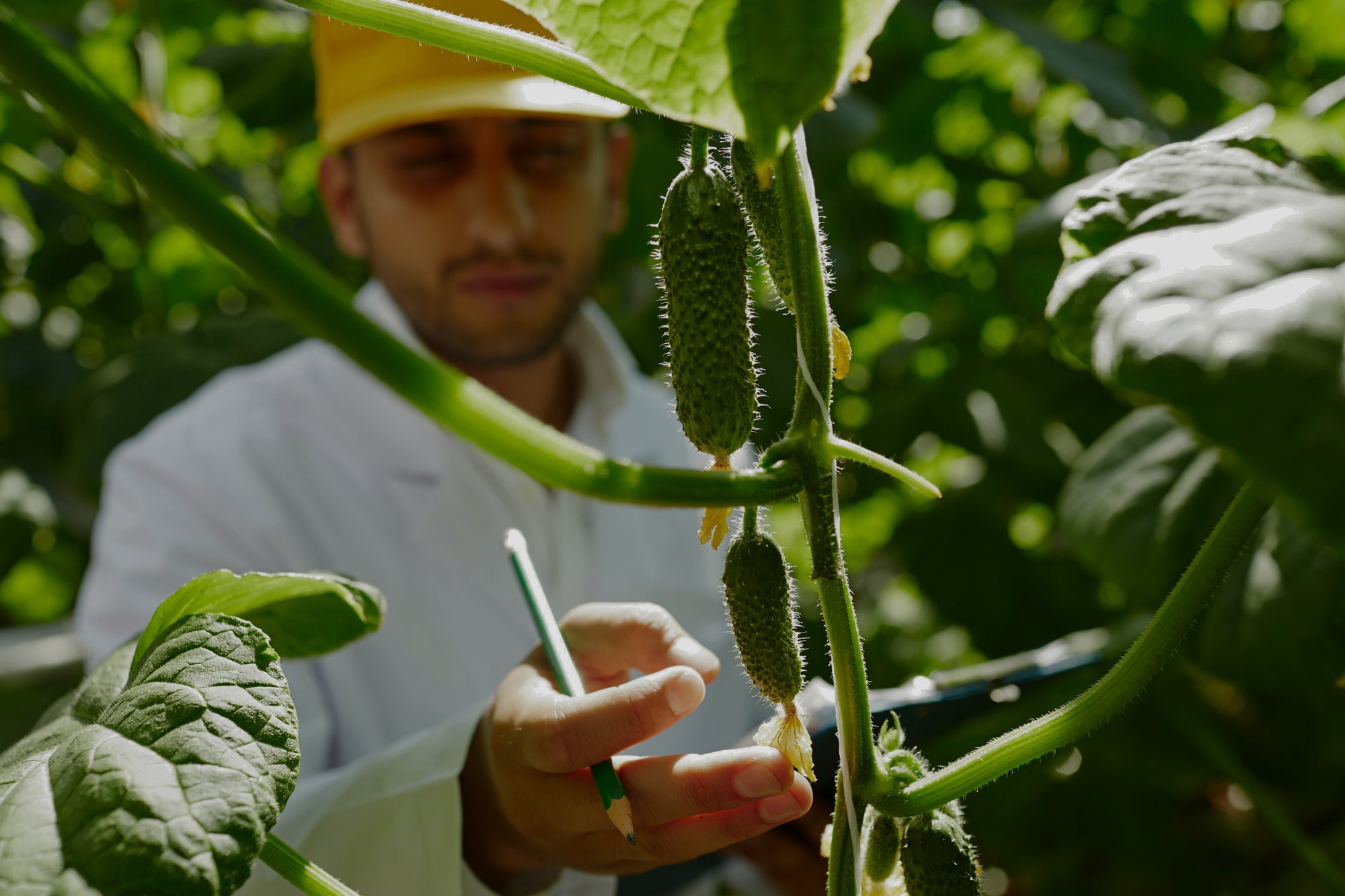 getty-images-i7zmwNnTxK8-unsplash - Edited-1