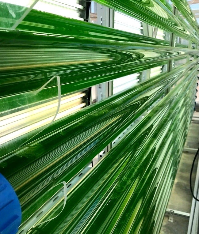 pure-future-bioreactor-enhanced